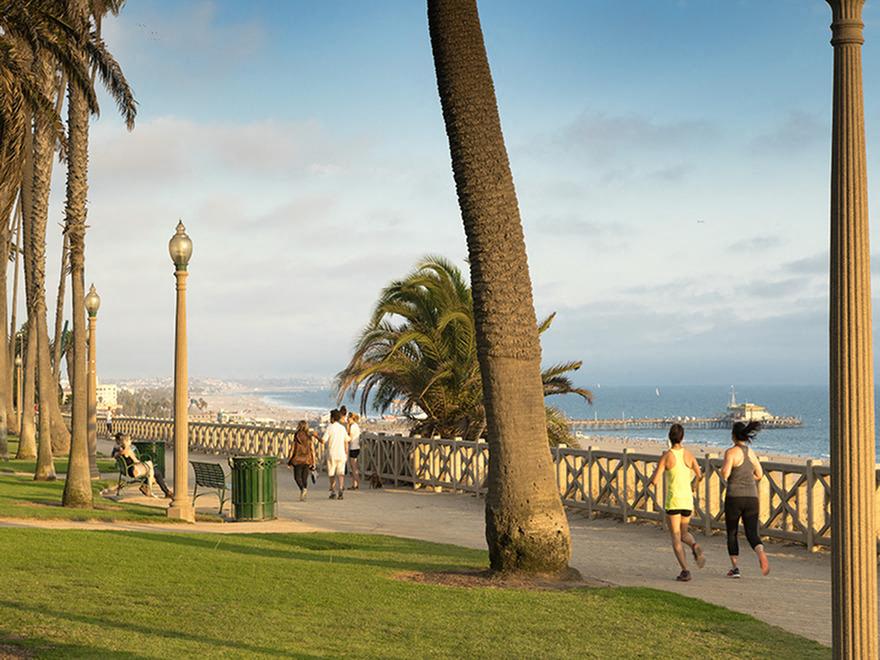 Ocean Palms and Palisades Image 29